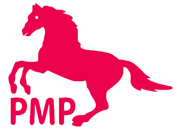 'Pioneer logo', 'PMP Logo', 'hourse logo'